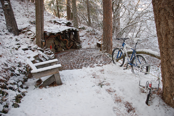 Winter